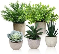 Memeaty Set Of 5 Small Fake Plants Artificial Rosemary Peppermint Plants Fake Succulents Plants In Pot For Home Office Decoration,Artficial Greenery Faux Plants Indoor For Table Shelf Decor -Organic Plant Shop 51US0aGHgsL. AC