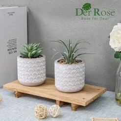Der Rose 2 Packs Fake Plants Artificial Succulents Plants In Pots For Home Boho Decor Indoor -Organic Plant Shop 51UT5nPmvsL