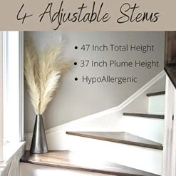 Decor Plus More Faux Pampas Grass Large - Set Of 4 47 Inches Beautiful Tall Artificial Compliments Any Room With Zero Maintenance Perfect For Modern, Boho Or Farmhouse (2 Cream & 2 Ivory Stems) -Organic Plant Shop 51UaSNGTqBL