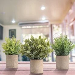 HomEdge Artificial Mini Potted Eucalyptus, 3 Packs Artificial Plastic Plant Greenery With Pot For Home, Office Desk Decoration -Organic Plant Shop 51Ush5JVrwL