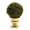 Nearly Natural 1 Mohlenbechia Ball Topiary In Gold Urn, 16