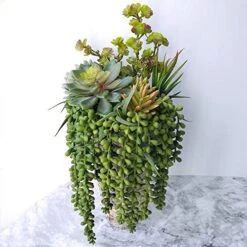 Supla 4 Pcs Artificial Hanging Succulents Faux Burro's Tail Picks Trailing String Of Pearls Succulent Greenery Sprays 13.4" L For Basket Planter Centerpiece Floral Arrangement Indoor Outdoor Decor -Organic Plant Shop 51V5GQzneSL