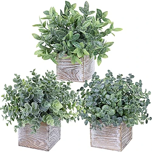 Winlyn Set Of 3 Small Potted Plants Artificial Eucalyptus In Wood Box Faux Eucalyptus In Pots Desk Plants Greenery Centerpiece Table Decorations For Farmhouse Kitchen Windowsill Shelf Entryway Decor 1 Winlyn Set Of 3 Small Potted Plants Artificial Eucalyptus In Wood Box Faux Eucalyptus In Pots Desk Plants Greenery Centerpiece Table Decorations For Farmhouse Kitchen Windowsill Shelf Entryway Decor