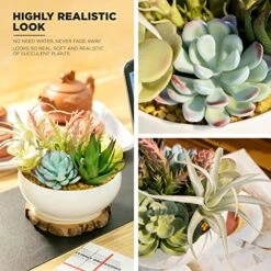 10 In 1- Fake Plants In Pot -Artificial Succulents Plant For Desk Decor -Small Faux Plants Indoor Modern Farmhouse Plants Artificial Decor -Potted Small Plants Decor For Bedroom Bathroom Office Shelf -Organic Plant Shop 51WSeUnN0UL