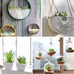 Happyhapi 12 Pcs Artificial Succulents Mini Fake Plants Unpotted Faux Succulent For Craft, Small Plastic Succulents Assortment In Flocked Green Floral Decor For Party, Cake, Garden & Outdoor