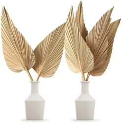 Nuanchu Natural Dried Palm Leaves Boho Palm Leaves Decor Heart Round Shape Palm Fans Tropical Palm Leaves Decoration Dried Palm Leaves Decor For Holidays Weddings Party Kitchen (Heart Shape, 9) -Organic Plant Shop 51X2ZyNZdZL. AC