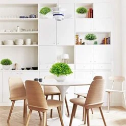 Summer Flower 5 Pack Mini Artificial Plants In Ceramics Pots For Bathroom Home Decor Indoor, 2 Fake Mini Plant Green Boxwood Potted,3 Grass Faux Plant In White Pot For Bookshelf Farmhouse Decorations -Organic Plant Shop 51XYoR4lzML