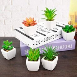 Faux Succulents In Pots Fake Succulents Small Artificial Succulents Potted For Home Office Desk Farmhouse Greenery Decor, 12 Pack -Organic Plant Shop 51XczI2dpgL