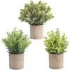 HomEdge Artificial Mini Potted Eucalyptus, 3 Packs Artificial Plastic Plant Greenery With Pot For Home, Office Desk Decoration