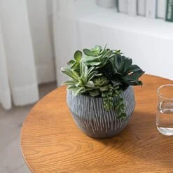 FAVRD Artificial Succulents In Cement Pot Environmentally Conscious Partly Recycled Fake Plants Artificial Plants Indoor Home Office Decor Desk Faux Plants, 8.5 X 8.5 X 8.75 Inches, Green, (10181-A) -Organic Plant Shop 51YLDtNYj4S