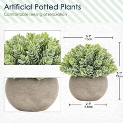 Briful Small Fake Plants Faux Potted Plant Mini Artificial Plants For For Home Table Office Room Desk Bathroom Shelf Kitchen Farmhouse Mantel Decoration -Organic Plant Shop 51YyGfHBVYL