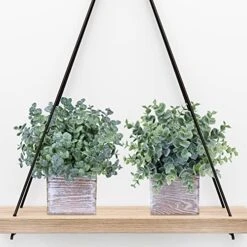 Winlyn Set Of 3 Small Potted Plants Artificial Eucalyptus In Wood Box Faux Eucalyptus In Pots Desk Plants Greenery Centerpiece Table Decorations For Farmhouse Kitchen Windowsill Shelf Entryway Decor 8 Winlyn Set Of 3 Small Potted Plants Artificial Eucalyptus In Wood Box Faux Eucalyptus In Pots Desk Plants Greenery Centerpiece Table Decorations For Farmhouse Kitchen Windowsill Shelf Entryway Decor -Organic Plant Shop 51ZNDFMXcXL