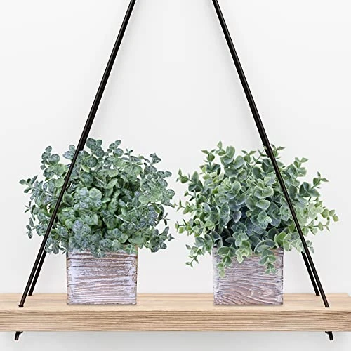 Winlyn Set Of 3 Small Potted Plants Artificial Eucalyptus In Wood Box Faux Eucalyptus In Pots Desk Plants Greenery Centerpiece Table Decorations For Farmhouse Kitchen Windowsill Shelf Entryway Decor 4 Winlyn Set Of 3 Small Potted Plants Artificial Eucalyptus In Wood Box Faux Eucalyptus In Pots Desk Plants Greenery Centerpiece Table Decorations For Farmhouse Kitchen Windowsill Shelf Entryway Decor - Image 4