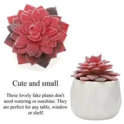 CASTNOO Set Of 4 Succulents Plants Artificial, Mini Fake Succulents For Women Office, Faux Succulents Decor, Artificial Succulents In Ceramic Pots For Desk, Home, Shelf Decorations -Organic Plant Shop 51a8rVwmfiL