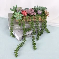 CEWOR 4pcs Artificial Succulents Hanging Plants Fake String Of Pearls For Wall Home Garden Decor (24 Inches Each Length) -Organic Plant Shop 51aAkYhvvTL