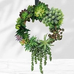 Winlyn 19 Pcs Assorted Artificial Succulents Plants Unpotted Small Green Hanging Succulent Aloe Fake Cacti Succulents Bulk For Succulent Garden Centerpiece Wreath Arrangement Indoor Outdoor Home Decor -Organic Plant Shop 51aCMQwPllL