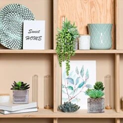 Set Of 3 Small Potted Succulents Plants Decoration Assorted Green Fake Succulents Plants In Rustic Wooden Pots For Home Living Room Bathroom Table Shelf Centerpiece Windowsill Office Desk Indoor Decor 9 Set Of 3 Small Potted Succulents Plants Decoration Assorted Green Fake Succulents Plants In Rustic Wooden Pots For Home Living Room Bathroom Table Shelf Centerpiece Windowsill Office Desk Indoor Decor -Organic Plant Shop 51bJlCsH70L