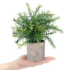 CEWOR 2 Pack Artificial Plants Mini Potted Plants Fake Bamboo Leaves Faux Rosemary Small House Plants For Home Office Desk Room Decor -Organic Plant Shop 51bOmo9sLBL