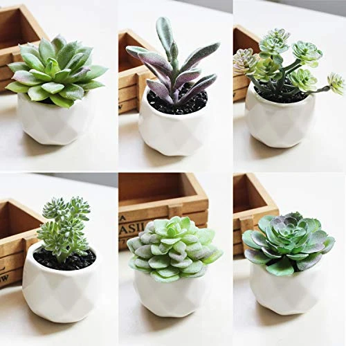 Augshy Artificial Succulents, 16 Pack Fake Succulents Plants Artificial Small Fake Plants Faux Succulents Unpotted For Lotus Landscape Decorative Garden Arrangement Decor 4 Augshy Artificial Succulents, 16 Pack Fake Succulents Plants Artificial Small Fake Plants Faux Succulents Unpotted For Lotus Landscape Decorative Garden Arrangement Decor - Image 4
