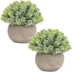 Briful Small Fake Plants Faux Potted Plant Mini Artificial Plants For For Home Table Office Room Desk Bathroom Shelf Kitchen Farmhouse Mantel Decoration -Organic Plant Shop 51cBWPenpsL. AC