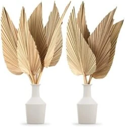 Nuanchu Natural Dried Palm Leaves Boho Palm Leaves Decor Heart Round Shape Palm Fans Tropical Palm Leaves Decoration Dried Palm Leaves Decor For Holidays Weddings Party Kitchen (Heart Shape, 9) -Organic Plant Shop 51cQ7JN9LqL. AC