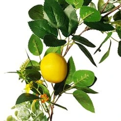 BWOLE 6 Feet Artificial Lemon Garland Spring Fruit Garland With Lemons Artificial Lemon Vine Garland For Front Door Home Kitchen Party Wedding Decor -Organic Plant Shop 51cnfjWJeTL