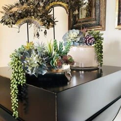 Caqpo Artificial Succulents - 15 Pack - Premium Unpotted Succulent Plants Artificial - Realistic Textured Succulents - Fake Succulent Plants For DIY - Faux Cactus Plant Bulk - Feaux Succulent Plants -Organic Plant Shop 51cuH8IHq9L