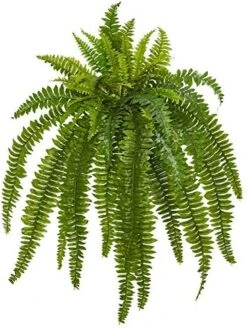 Nearly Natural 35” Boston Fern Artificial (Set Of 2) Silk Plants Green & 5357 4ft. Golden Cane Palm Tree,Green -Organic Plant Shop 51dCqYhP6gL. AC 1