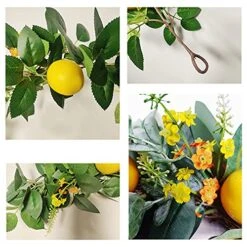 BWOLE 6 Feet Artificial Lemon Garland Spring Fruit Garland With Lemons Artificial Lemon Vine Garland For Front Door Home Kitchen Party Wedding Decor -Organic Plant Shop 51dQaOP72PL