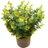 Svenee Mini Potted Plants Artificial Flocked Eucalyptus Greenery In Pots Faux Potted Herbs Small Houseplants For Indoor Outdoor Greenery Tabletop Decoration Centerpiece, Garden,Farmhouse (1)
