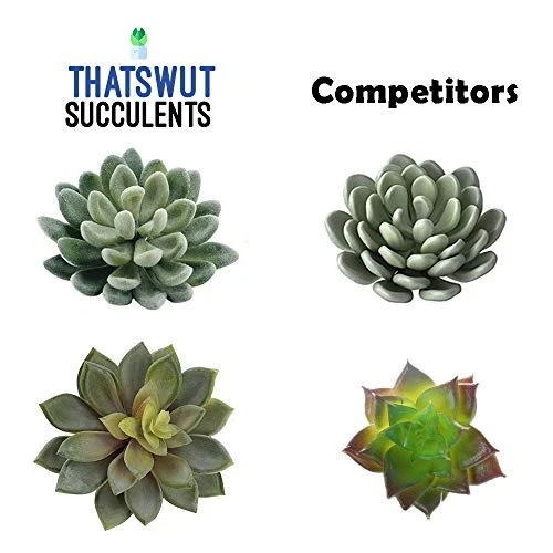 Thatswut - 35 Pack Bulk Large Assorted Realistic Artificial Faux Succulents Aloe Plants Realistic Fake Succulent Plants, Largest Set Of Succulents 3 Thatswut - 35 Pack Bulk Large Assorted Realistic Artificial Faux Succulents Aloe Plants Realistic Fake Succulent Plants, Largest Set Of Succulents - Image 3