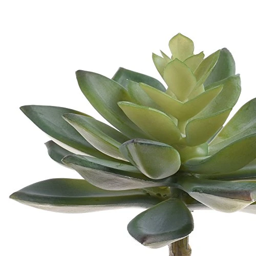 BCP Pack Of 2 Realistic Cute Green Home Garden Artificial Plastic Snowdrop Echeverias Succulent Plants Unpotted 3 BCP Pack Of 2 Realistic Cute Green Home Garden Artificial Plastic Snowdrop Echeverias Succulent Plants Unpotted - Image 3