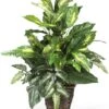 Nearly Natural 6527 Greens With Wicker Decorative Silk Plant, Green 30 In X 9 In X 7.5 In