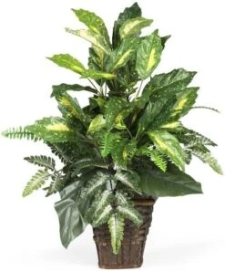 Nearly Natural 6527 Greens With Wicker Decorative Silk Plant, Green 30 In X 9 In X 7.5 In -Organic Plant Shop 51fwjHUcuML. AC