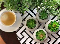 Artificial Succulent Plants In Cement Pots, Set Of 4 - Realistic Faux Potted Plant For Home, Apartment, Or Office - Decorative Fake Succulents - For Desk, Bookshelf, Or Kitchen -Organic Plant Shop 51fxiB2qHDL