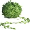 Naidiler 265 Ft Leaf Ribbon, Artificial Vines Leaves String Trim Ribbon Wild Jungle Botanical Greenery For Baby Shower Party Wedding Home Wreaths & DIY Craft