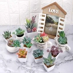 CEWOR 20pcs Artificial Flocked Succulents Mini Fake Succulent Plants Faux Premium Decor For DIY Crafting Home Floral Wall Garden Arrangement Office Decoration (Unpotted) -Organic Plant Shop 51gywubQQwL