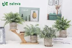 JC Nateva Small Fake Plants Mini Potted Artificial Plants Indoor For Home Office Farmhouse Kitchen Bathroom Table Decor 8 JC Nateva Small Fake Plants Mini Potted Artificial Plants Indoor For Home Office Farmhouse Kitchen Bathroom Table Decor -Organic Plant Shop 51h0WoPVabL