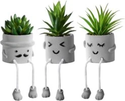 SEMSOIIO 2 Pcs Fake Plants In Cement Pot With Hanging Legs, Creative Artificial Faux Succulent For Home/Office Decor (Tongue & Smoking) -Organic Plant Shop 51h3tcgQaWL. AC
