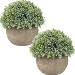 Briful Small Fake Plants Faux Potted Plant Mini Artificial Plants For For Home Table Office Room Desk Bathroom Shelf Kitchen Farmhouse Mantel Decoration -Organic Plant Shop 51hBgh2gl4L. AC