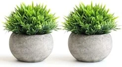 THE BLOOM TIMES 2 Pcs Fake Plants For Bathroom/Home Office Decor, Small Artificial Faux Greenery For House Decorations (Potted Plants) -Organic Plant Shop 51haRc6l L. AC