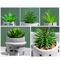 Lavenor Artificial Potted Plant Fake Succulent Plant Cute Hanging Leg Emotional Cement Potted Succulents Decor For Desk Shelf Bedroom Living Room And Office Decoration(Type A + Type C) -Organic Plant Shop 51i5E8cTbOL