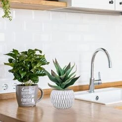 Set Of 3 Small Potted Succulent Plants Artificial Hanging Succulent Aloe In Gray Concrete Ceramic Pots With Geometry Textured For Party Favor Gift Windowsill Table Shelf Indoor Outdoor Greenery Decor -Organic Plant Shop 51iMJSUSwuL