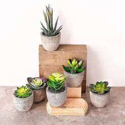 Sophia's Garden Small Artificial Succulents Plants Artificial Potted Fake Plant Decor Bedroom (6 Piece Faux Succulents In Pots 2.3") Fake Succulent Decor Fake Succulents Mini Succulents Desk Office -Organic Plant Shop 51iVZx8zPhL