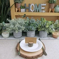 Set Of 3 Assorted Small Potted Plants Fake Eucalyptus Rosemary Plants In Black & White Geometric Concrete Ceramic Pots For Table Centerpiece Desk Shelf Kitchen Office Indoor Outdoor Greenery Decor -Organic Plant Shop 51icH4L2opL