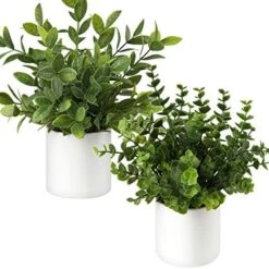 Briful Mini Fake Plants Set Of 2 Small Faux Plant Eucalyptus Rosemary Greenery Potted Plants Artificial Decor For Home Table Office Room Desk Bathroom Shelf Kitchen Farmhouse Mantel Decoration -Organic Plant Shop 51jKRksoQ3L. AC