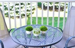 ELYSIANZE Mini Artificial Plants | Modern Farmhouse Plants Home Decor | Small Fake Plants | Office/Kitchen/Bathroom/Bedroom/Mantle/Shelf/Living Room/Table Decoration Faux Plant Set -Organic Plant Shop 51jOoYwoSYL