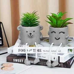 Natheeph 2 Pcs Succulents Plants Artificial Fake Plant Faux Succulents Hanging Leg With Cement Potted For Home Office Desk Bedroom Bookshelf Greenery Decoration (Smile & Bear)