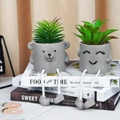 Natheeph 2 Pcs Succulents Plants Artificial Fake Plant Faux Succulents Hanging Leg With Cement Potted For Home Office Desk Bedroom Bookshelf Greenery Decoration (Smile & Bear) -Organic Plant Shop 51jynmWVc8L. AC