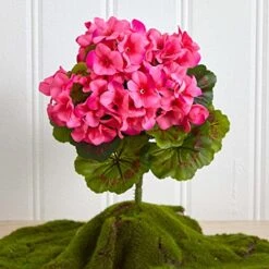 Nearly Natural Geranium Artificial Bush UV Resistant, Set Of 4 (Indoor/Outdoor), Beauty,14"Dx14"Wx13"H 12 Nearly Natural Geranium Artificial Bush UV Resistant, Set Of 4 (Indoor/Outdoor), Beauty,14"Dx14"Wx13"H -Organic Plant Shop 51k6jXPZBTL